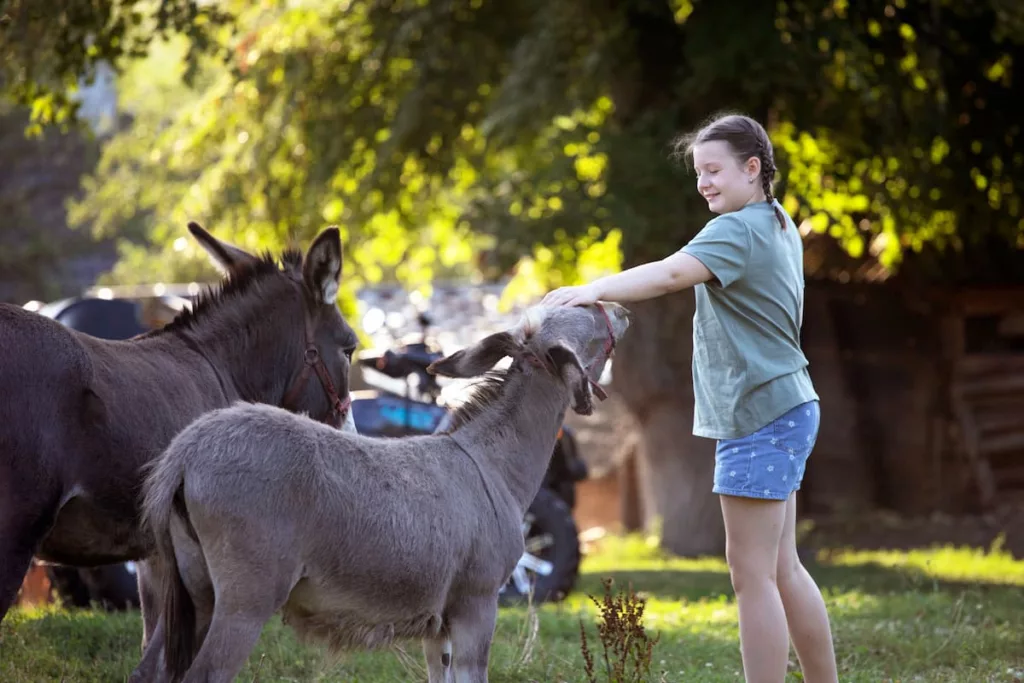 Balade à cheval entre la Loire et la forêt d’Orléans !

crédit photo : envato